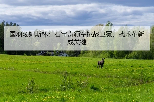 guo-yu-tang-mu-si-bei-shi-yu-qi-ling-jun-tiao-zhan-wei-mian-zhan-shu-ge-xin-cheng-guan-jian-2-856.jpg