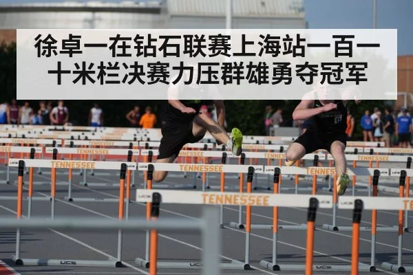 徐卓一在钻石联赛上海站一百一十米栏决赛力压群雄勇夺冠军