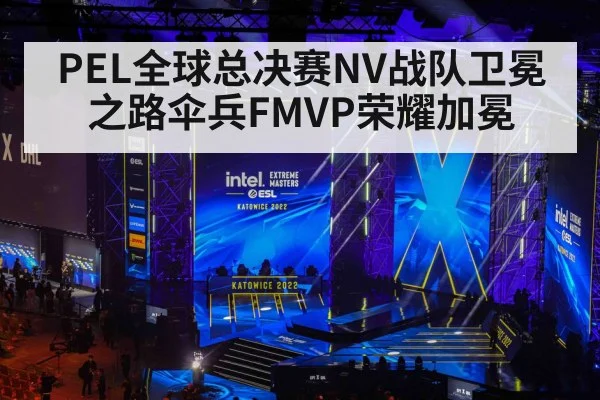 PEL全球总决赛NV战队卫冕之路伞兵FMVP荣耀加冕